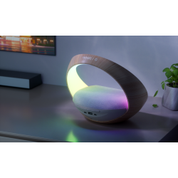 Enceinte alarme induction Bluetooth Speaker