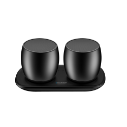 portable true stereo speakers