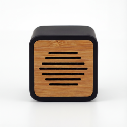 Enceinte Bluetooth ABS...