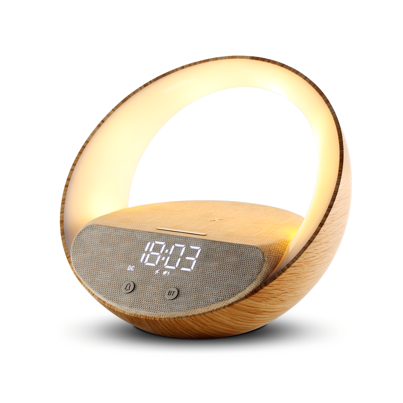 Enceinte alarme induction Bluetooth Speaker