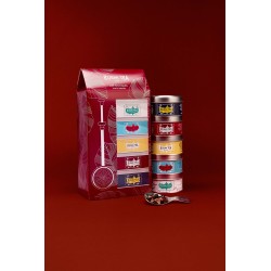 Les Iconiques bio - Coffret 5 boîtes + pince à thé - 100gr - KUSMI TEA