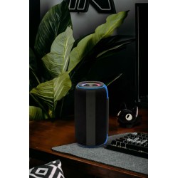 Enceinte LED Bluetooth 30W - BLAUPUNKT