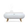 Enceinte diffuseur d'huiles essentielles - BLAUPUNKT